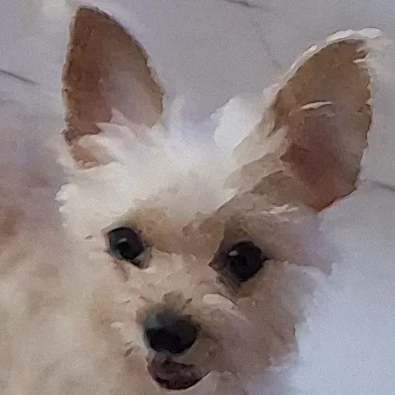 creator 🩷🗯Bwoof🗯🩷's avatar