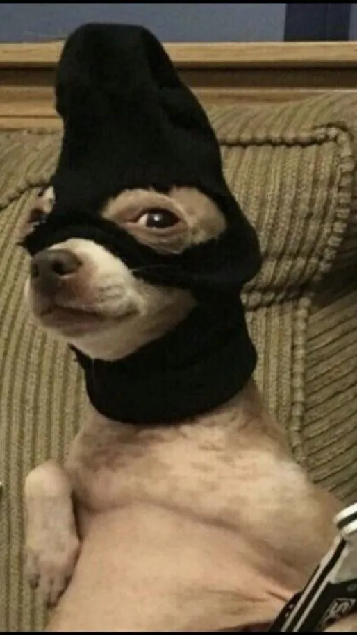 ai character: robber dog background