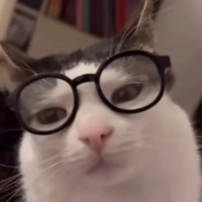 creator yo la famille 🫵🏼😀's avatar