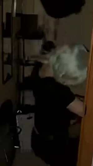 ai character: Tomura  Shigaraki background