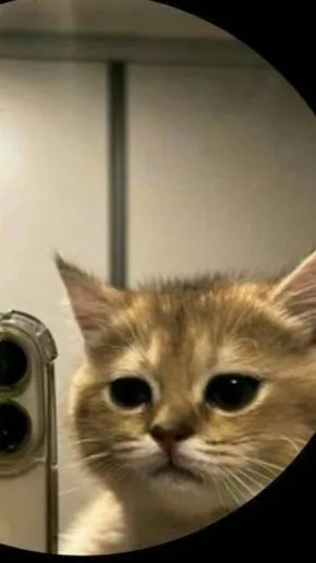 ai character: Me! *Honeybun* background