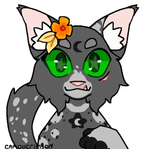 creator lovewarriorscats🇵🇱's avatar