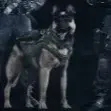 chat with ai character: DSMP vs COD GHOSTS