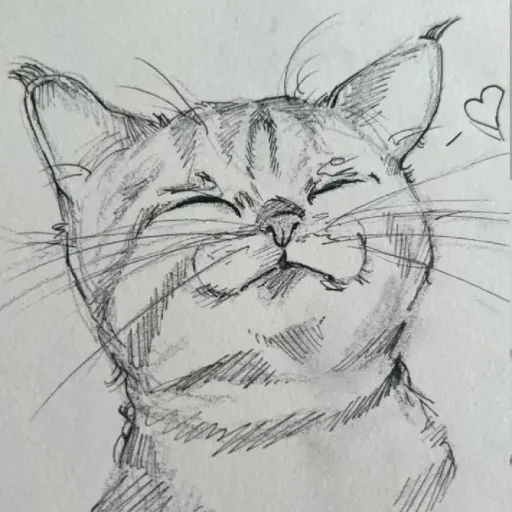 creator ♰ккотик's avatar