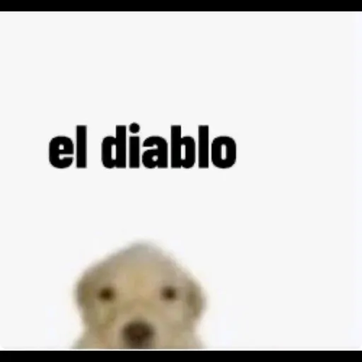 creator el diablo meme's avatar