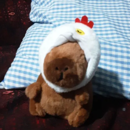 creator capibara-+='s avatar