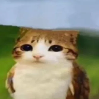 chat with ai character: Meowl