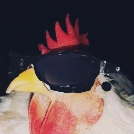 creator POLLO_FACHA//'s avatar