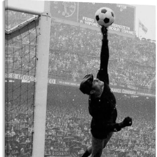 creator Lev yashin 🗿's avatar