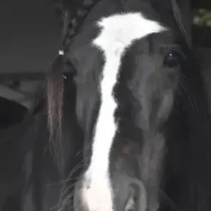 chat with ai character: KPDh Pick Me