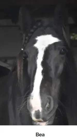 ai character: KPDh Pick Me background