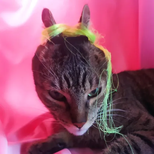 creator Kamila2000's avatar