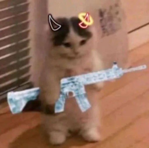 creator kitty+gun=me✨🔫's avatar