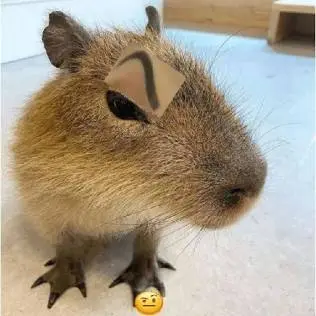 comment user avatar