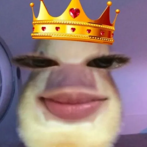 creator `kianna smith`'s avatar