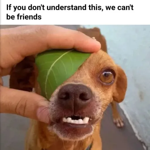 creator |NYX|'s avatar