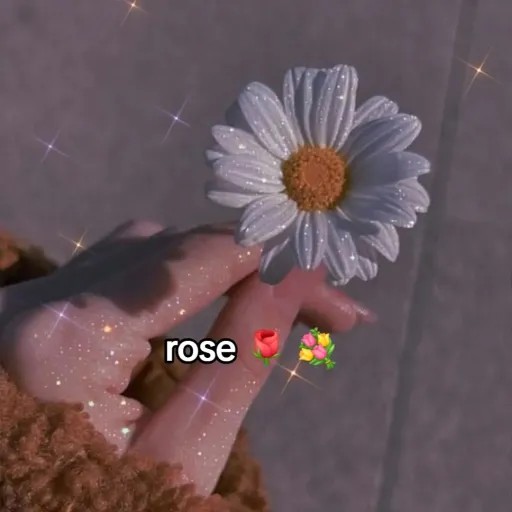 creator Roselove🌹❤️'s avatar
