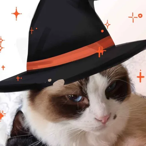 creator Reese's Lover's avatar