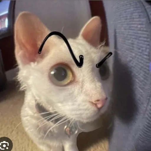 creator -Charlie-'s avatar