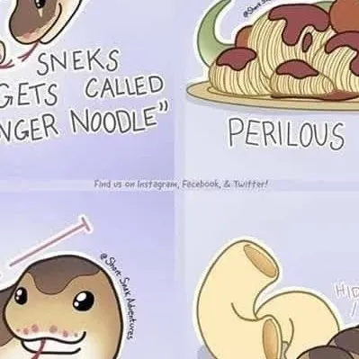 chat with ai character: Snek baby