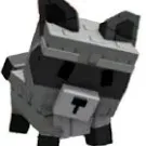 creator Una Raccoon 🤙's avatar