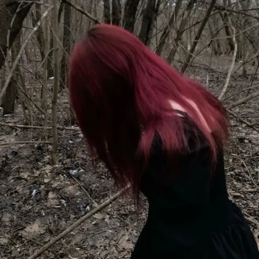 creator SH4RK SPARK's avatar