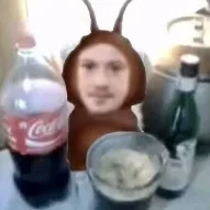 creator Joseph quinn🪳🪳's avatar