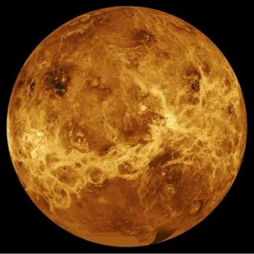 creator Venus the genius's avatar
