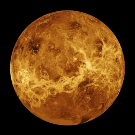 creator Venus the genius's avatar