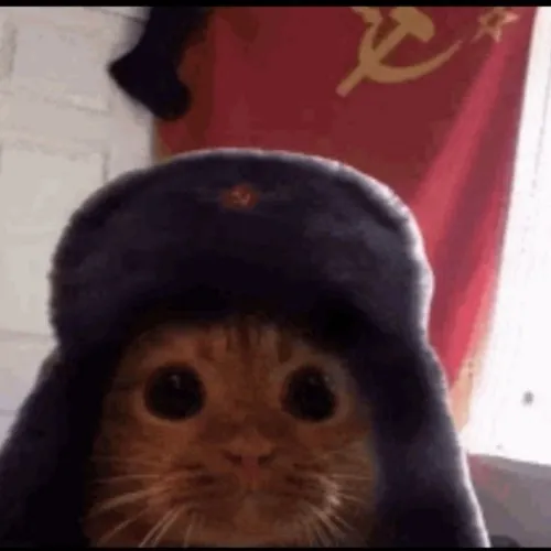 creator NØLÎ's avatar