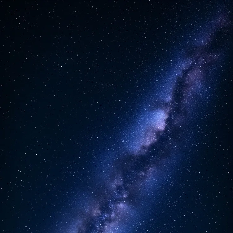 chat with ai character: Rodrick heffley 