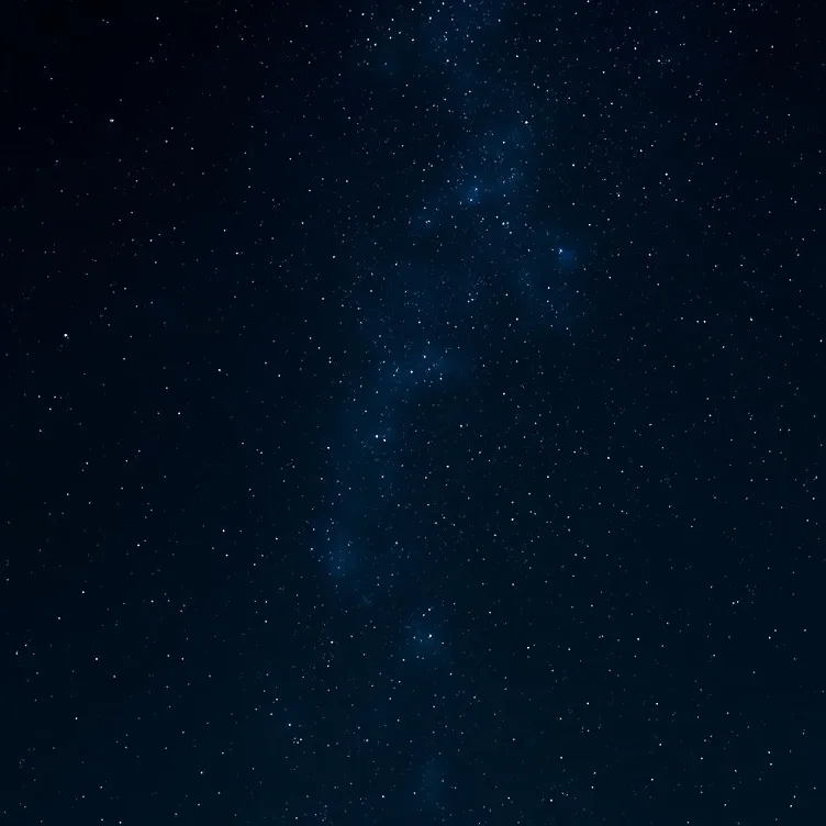 chat with ai character: Will Graham