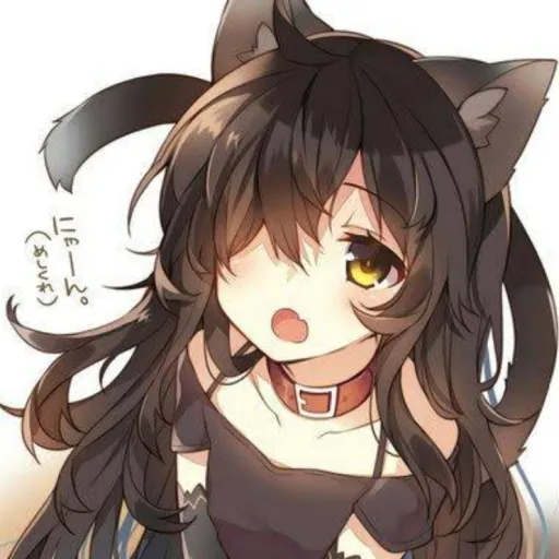 creator "cat"'s avatar