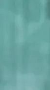 ai character: Megumi fushiguro background