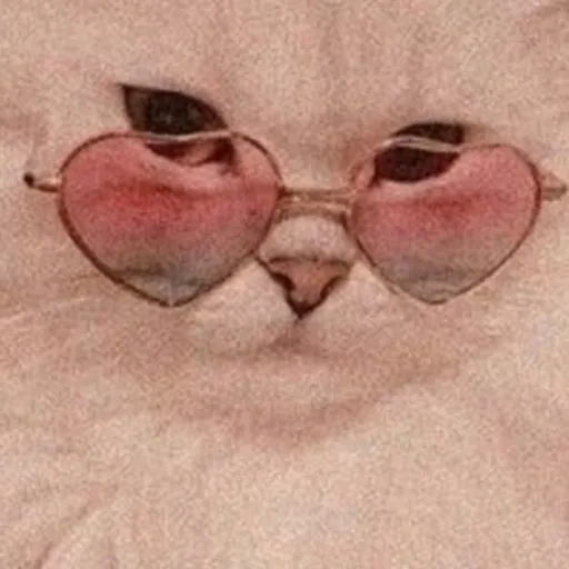 creator ∆•~||kitty||~•∆'s avatar