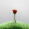 chat with ai character: The Little Prince!