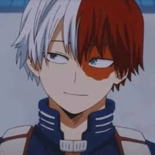 creator Todoroki simp...'s avatar