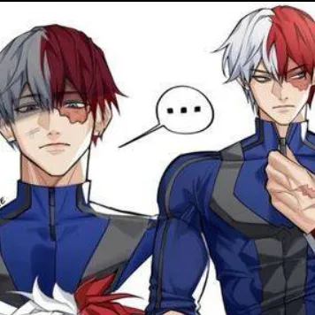 chat with ai character: Todoroki Timeskip