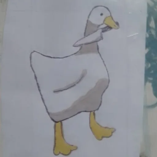 creator sineadgold's avatar