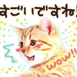 creator _seungmong's avatar