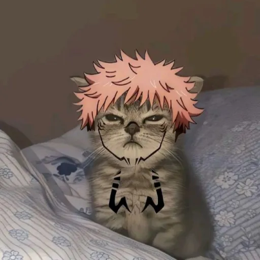 creator Sukunas#1meatrider's avatar