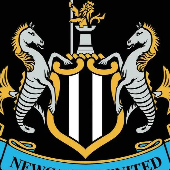 chat with ai character: Newcastle United