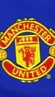 ai character: Man united 2008 background