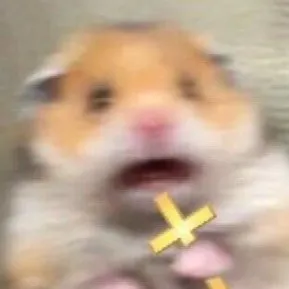 creator Yuk!_@yako's avatar