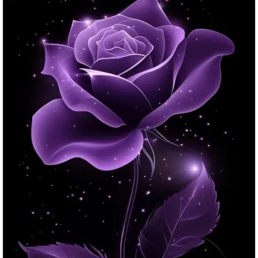 creator Dark night star's avatar