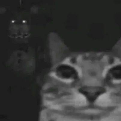 creator story mode.'s avatar