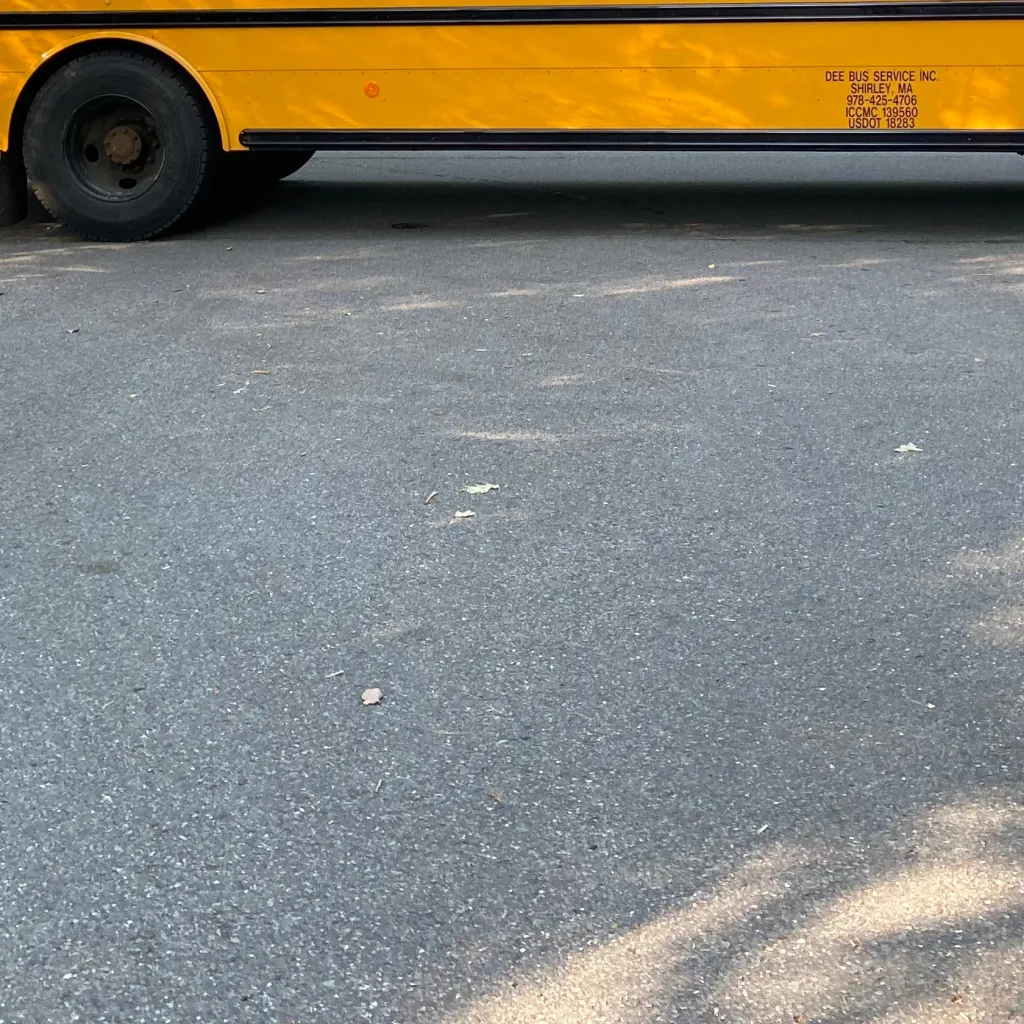 chat with ai character: Bus 6