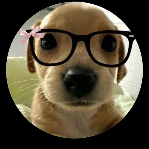 creator Emliy18's avatar