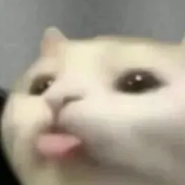 creator PoppyMar's avatar