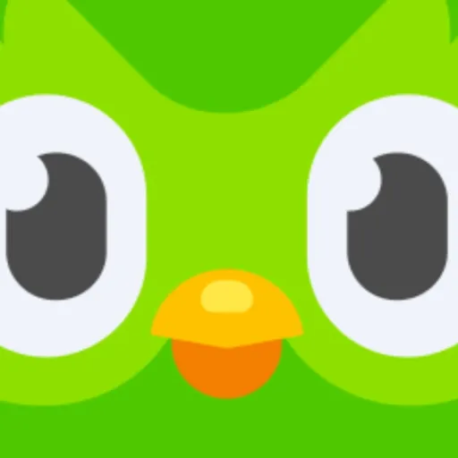 creator duosida's avatar